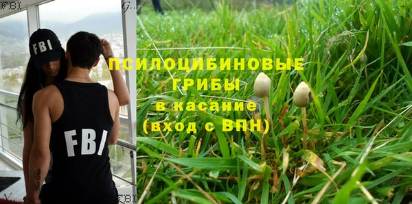 МДПВ Нестеровская