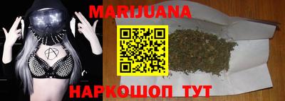 прущие крисы Бийск