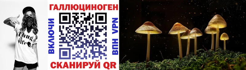 где продают наркотики  Губаха  Галлюциногенные грибы Psilocybine cubensis 