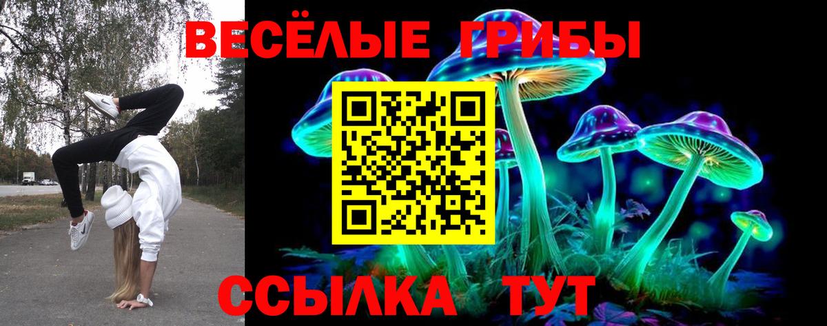 дарнет шоп  Псилоцибиновые грибы мухоморы  Вход с VPN  Губаха 