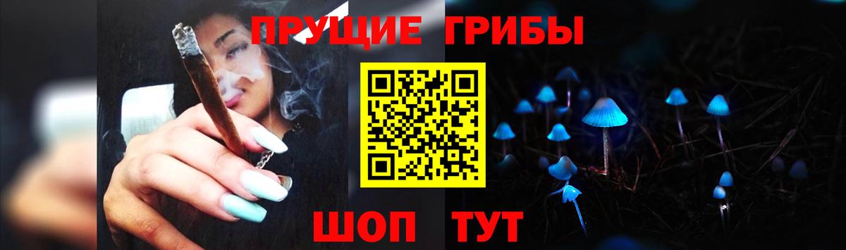 Псилоцибиновые грибы мицелий Губаха